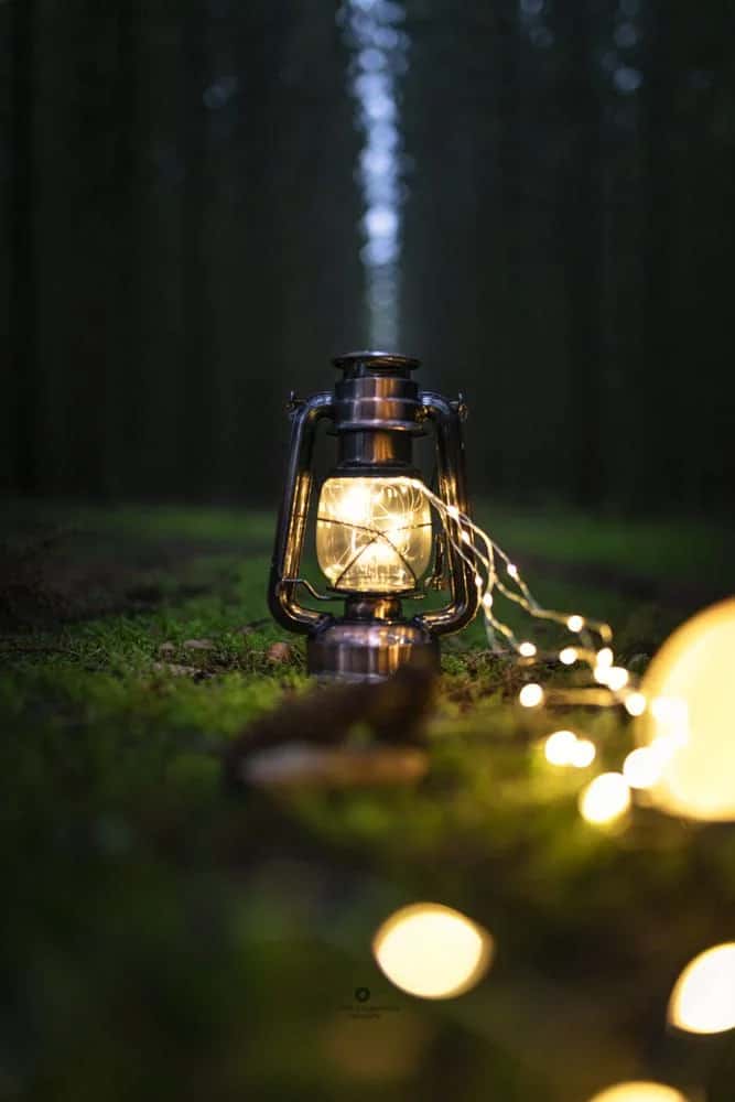 En tänd stormlykta står på mossa i en mörk skog, omgiven av en lysande ljusslinga