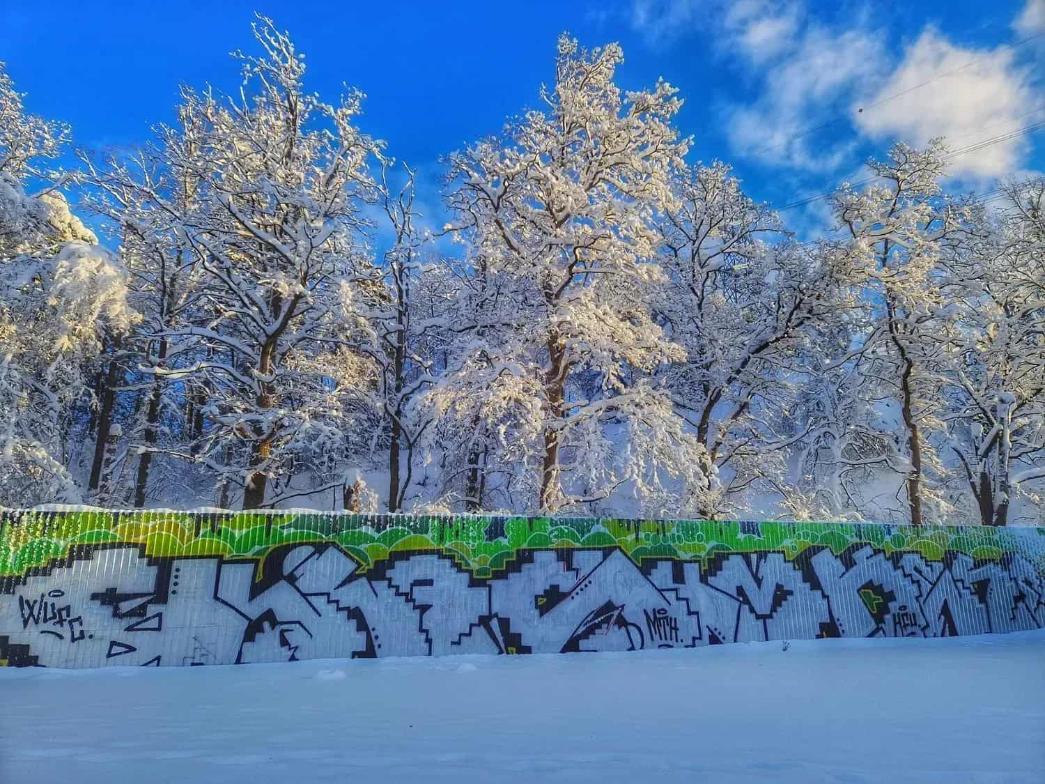 Snöklädda träd bakom ett staket med graffiti. Snö på marken, blå himmel