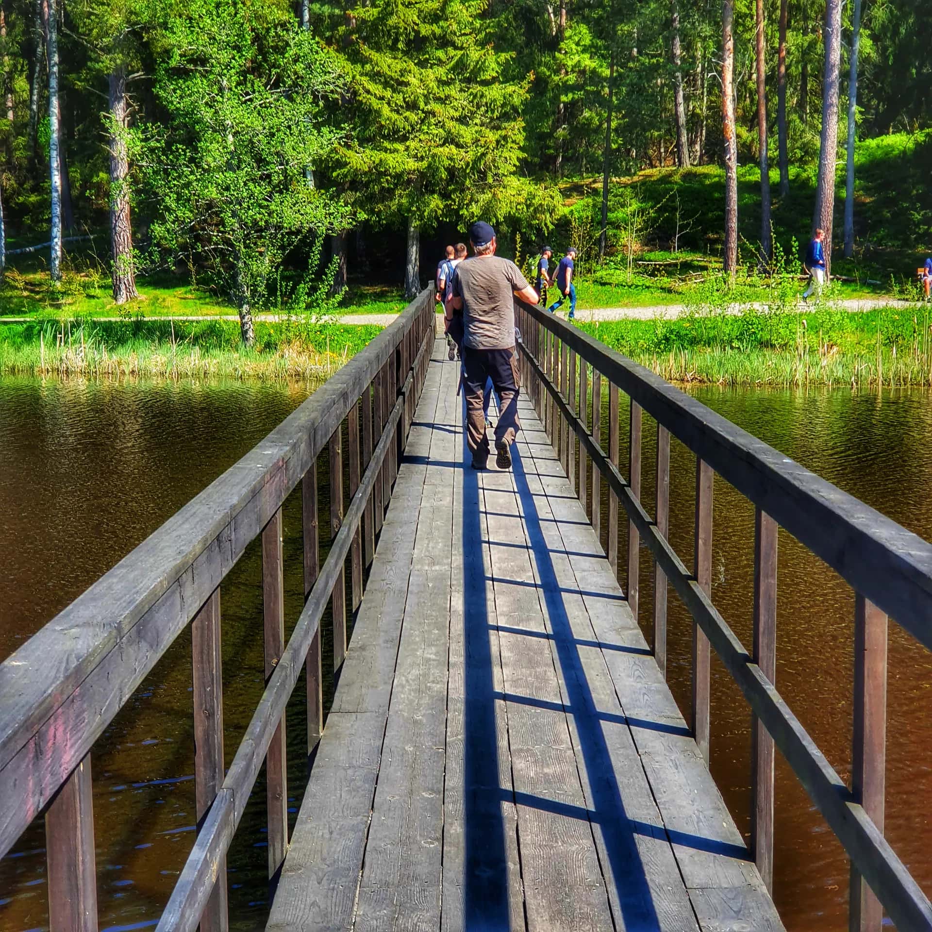 Person går på träbro över vatten. Skog i bakgrunden. Ekoturism Stockholm