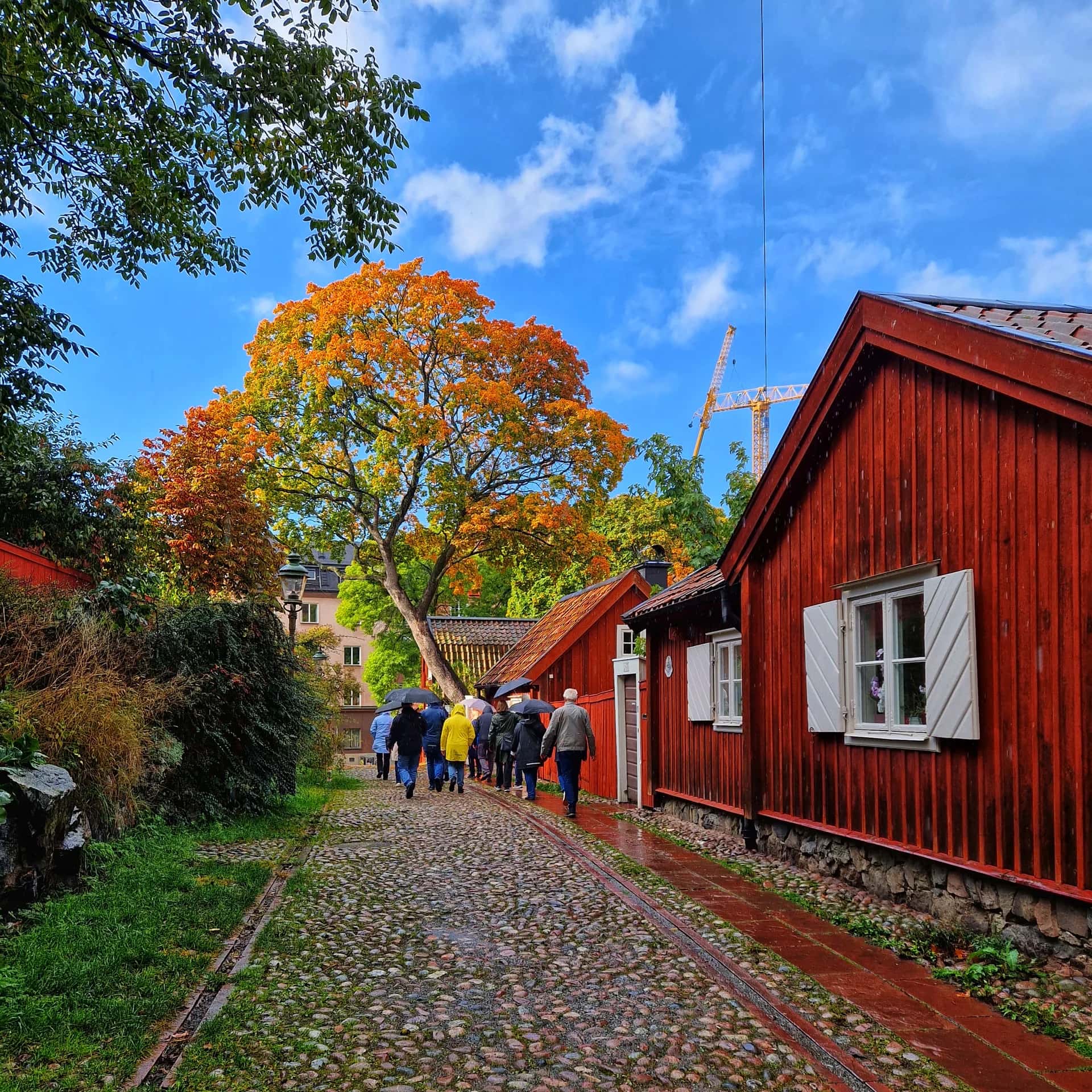 Människor med paraplyer på stadsvandring i Stockholm på en kullerstensgata med röda trähus