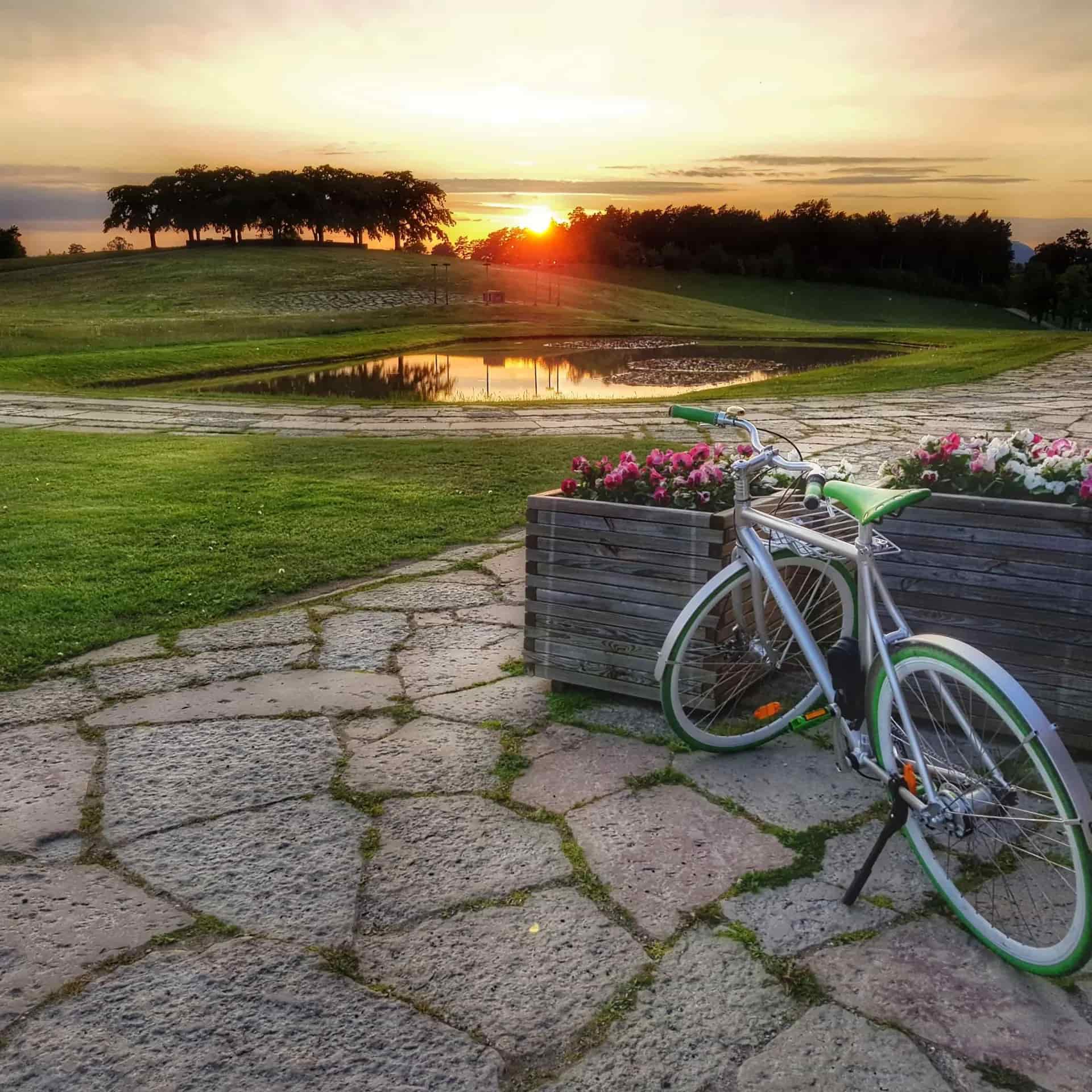 Silver-colored bicycle with green details by flower box. Sunset and pond in the background
