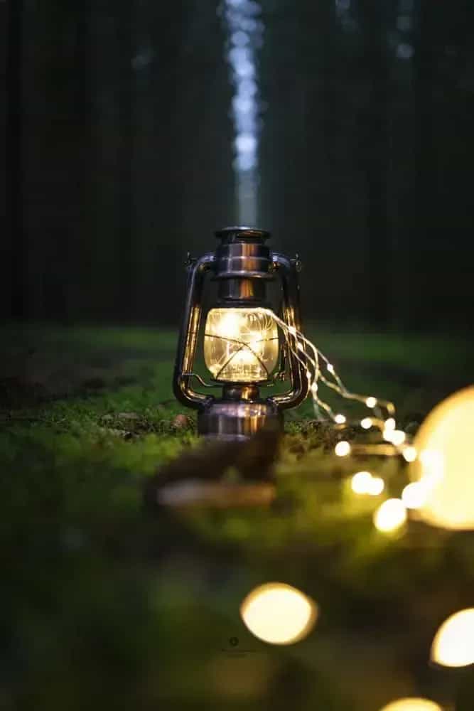 Lysande fotogenlampa med ljusslinga på mossig mark i skog