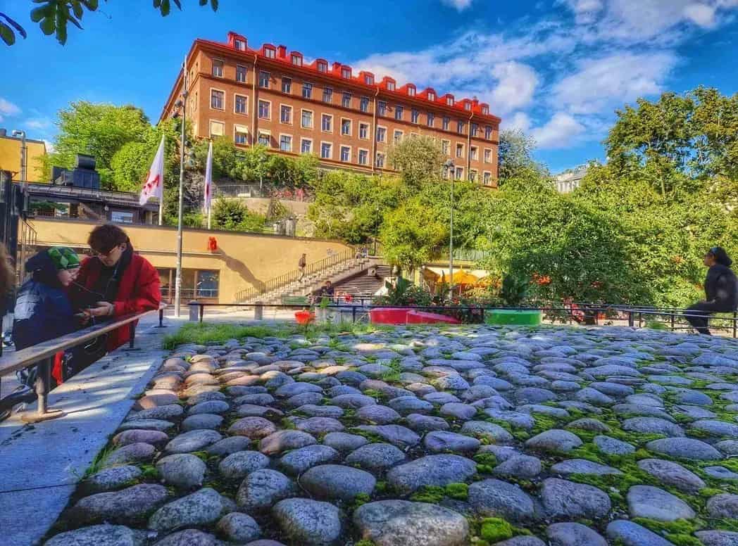 Paving with moss, people, building and sky