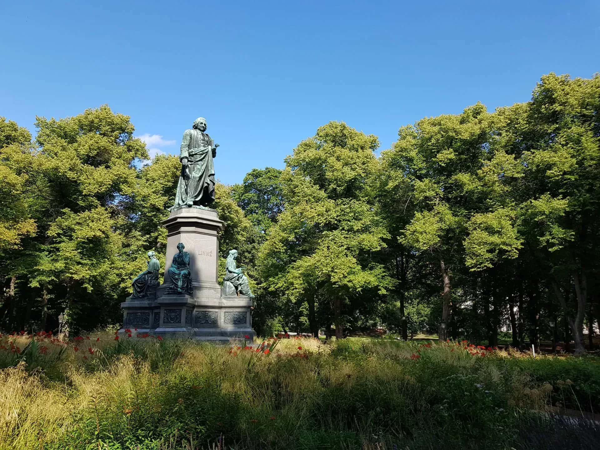 Staty av Linné i parkmiljö, med träd och blommor