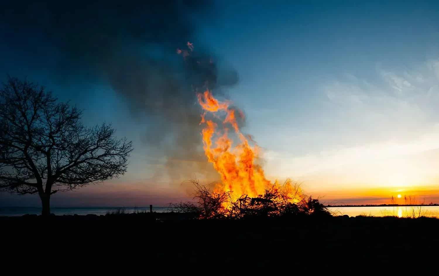 Fire with smoke, silhouette of trees and beach at sunset